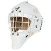 Victory V6 Senior Custom Goalie Mask -GoalieMonkey 637262773771