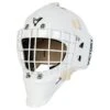 Victory V4 Senior Custom Goalie Mask -GoalieMonkey 643345997231