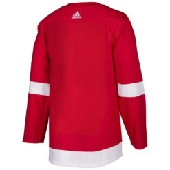 Detroit Red Wings Adidas AdiZero Authentic NHL Hockey Jersey -GoalieMonkey det 503 back home