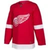 Detroit Red Wings Adidas AdiZero Authentic NHL Hockey Jersey -GoalieMonkey det 503 front home